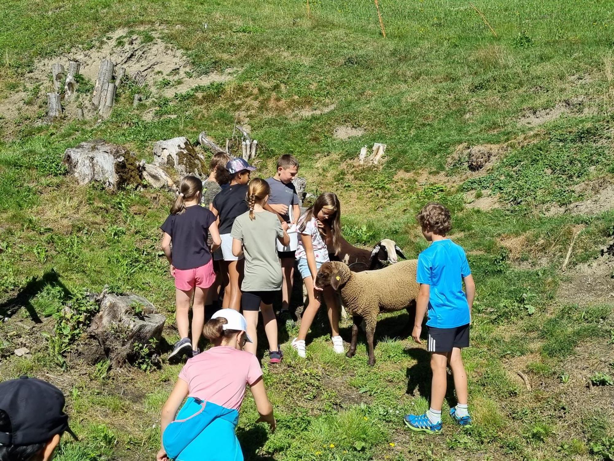 Sattlerhof * Mutters